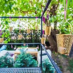 Hotel Solei Boutique